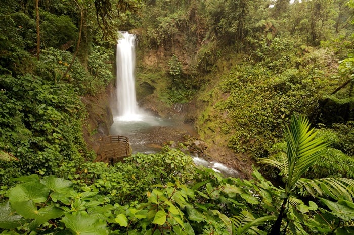 image_waterfall-magia-blanca
